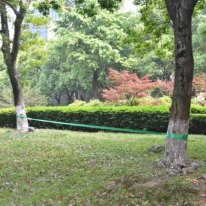 Zelené lano na chodenie/slackline, 15 m x 50 mm, 150 kg - eshop